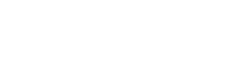 logo-centroexcelencia-blanco